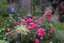 September     0824.JPG