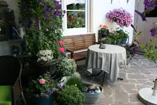 Terasse       4822.webp