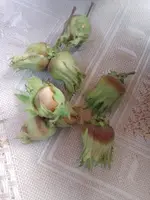 IMG_20240902_101735.webp