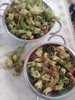 IMG_20240902_101729.webp