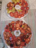 IMG_20230830_135652.webp