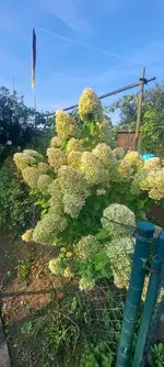 20240903_090342.webp