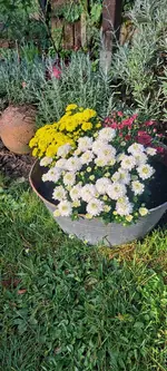 20240903_090206.webp