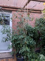 PXL_20240904_043732128.jpg