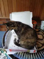 DSC01309.webp