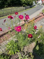 IMG_0091.JPG