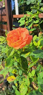20240903_090402.webp