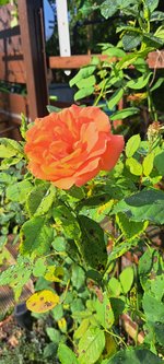 20240903_090402.jpg