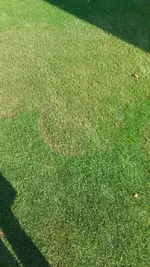 20240905_162819_resized.webp