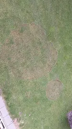 20240906_101930_resized.webp