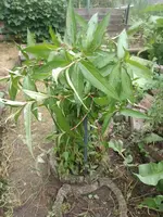 IMG_20240906_134050.webp