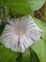 IMG_20240906_123645.webp