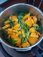 IMG_20240906_173648.webp