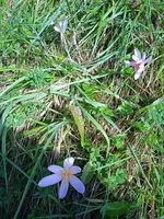 IMG_20240906_135702.webp