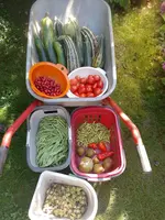 IMG_20240907_132055.webp