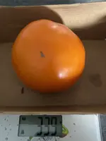 Tomate*Mangué*24-08-13*.jpg