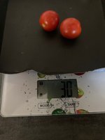 Tomate*Muchacha*Ernte*24-09-06.jpg