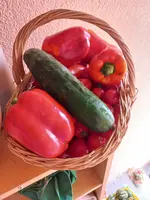 20240909_110250.webp