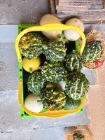 20240909_110241.webp