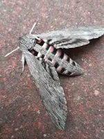 IMG-20240910-WA0014.webp