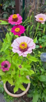 20240910_134457.webp