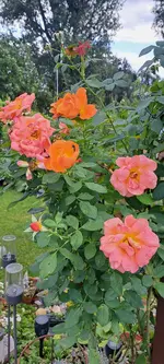 20240910_134041.webp