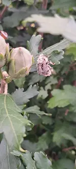 20240910_133350.webp