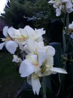 20240910_194006.webp