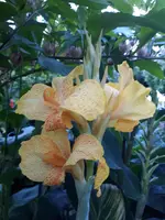 20240910_192508.webp