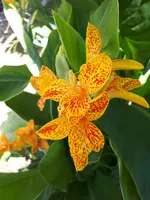 20240905_115154.webp