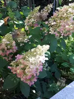 20240902_153900.webp