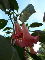 20240901_133121.webp
