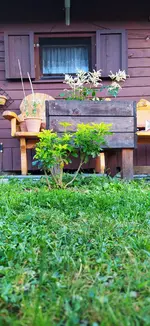 IMG_20240827_193407.webp