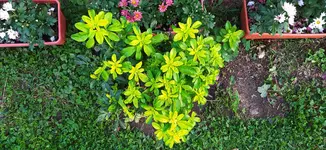 IMG_20240827_193419.webp
