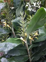 20240909_103217.webp