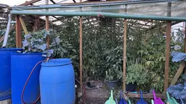 IMG_2234.jpeg