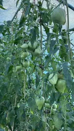 IMG_2230.jpeg