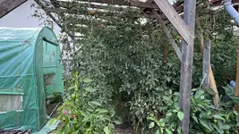 IMG_2247.jpeg