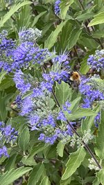 IMG_2257.jpeg
