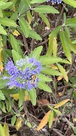 IMG_2256.jpeg