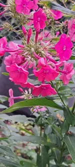 20240913_122807.webp