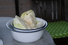 Sauerkraut 0120.JPG