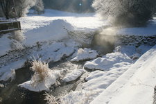 Winter2517.JPG