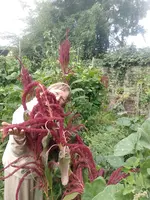 IMG_20240915_114210.webp