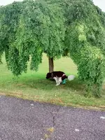 IMG-20170917-WA0000.webp
