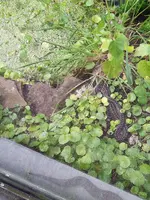 IMG_20240910_132103.webp