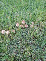 20240917_193033.webp