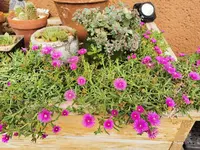 IMG_20240918_103643.webp