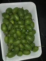20240919_173045.webp