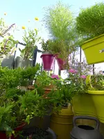 003.webp